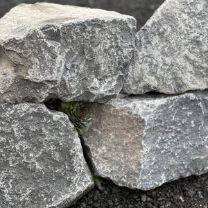 Basalt Mauerstein handlich naturgebrochen