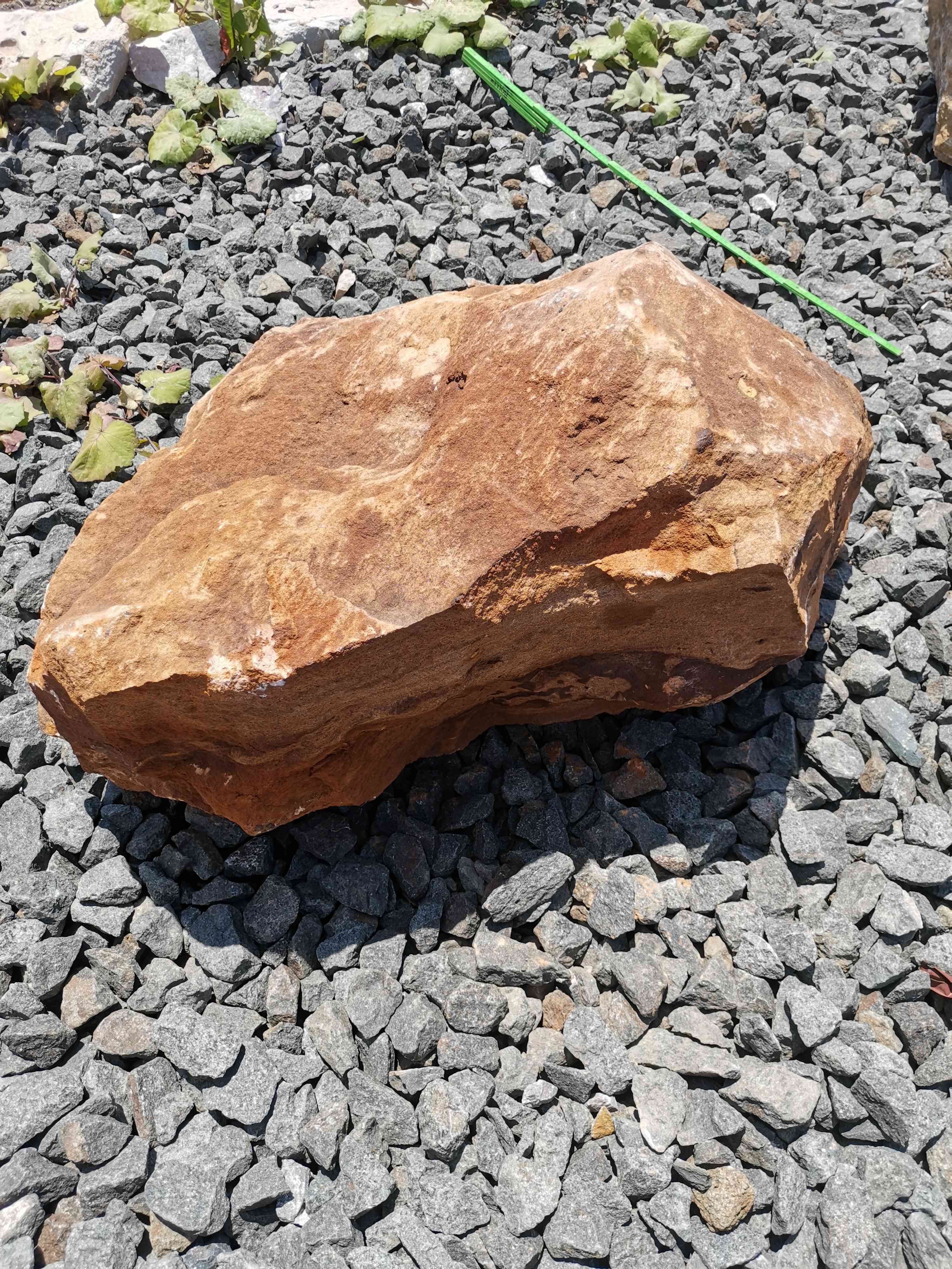 Quarz-Sandstein Trittplatten Toskana ca. 40-60×30-40×2,5-4 cm gelb
