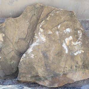 Sandstein "Pleistozän"
