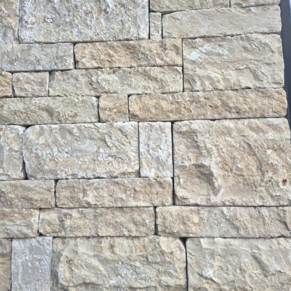 photo 3 2025 08 22 14 29 36