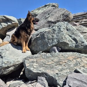 Megaltih kaufen Natursteinlager Langgöns große Findlinge Garten Sichtschutz