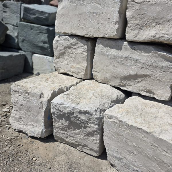 photo 1 2025 06 26 10 28 10