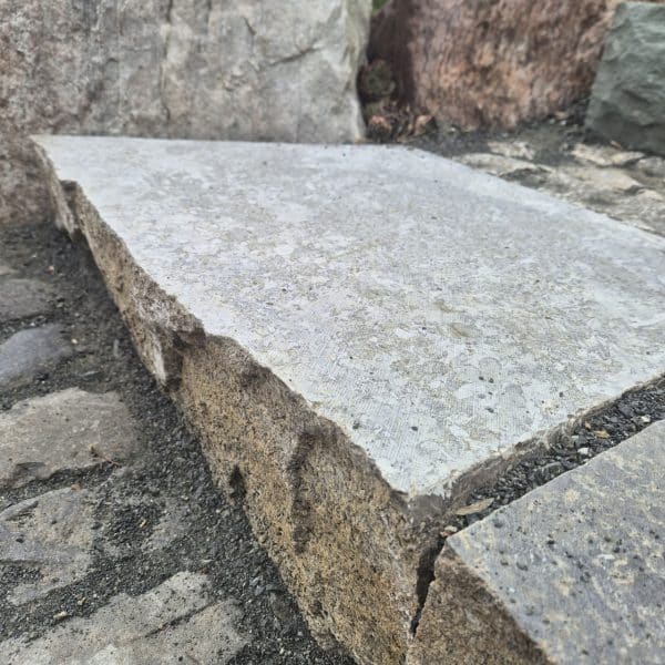 photo 2 2025 08 22 14 37 12