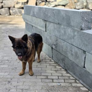 Dolomit bunt klassik Quader 28,5 extra Lang