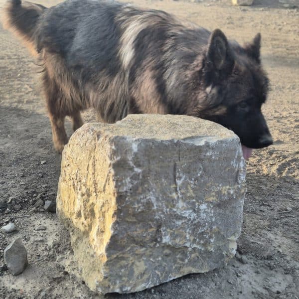 photo 3 2025 05 26 15 40 54