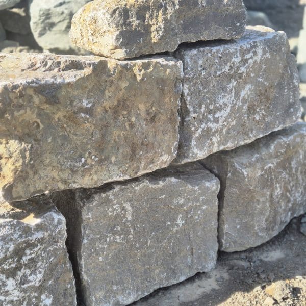 photo 9 2025 05 26 15 40 54
