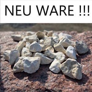 photo 1 2025 06 26 09 26 49