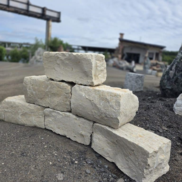 photo 1 2025 08 22 13 28 06