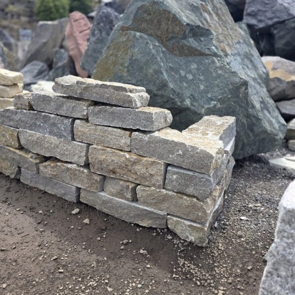 photo 1 2025 08 22 14 54 31