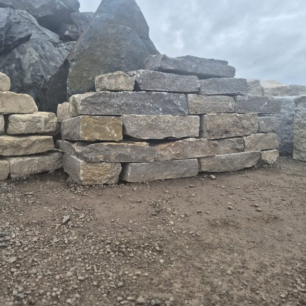 photo 2 2025 08 22 14 54 31