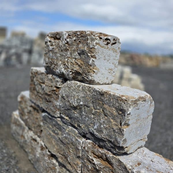photo 2 2025 08 25 11 27 57