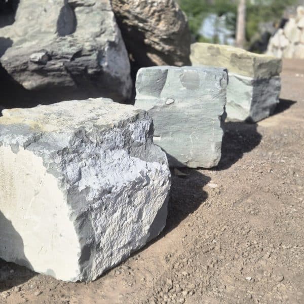 photo 3 2025 08 06 09 09 17