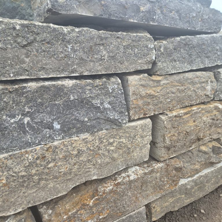 photo 3 2025 08 22 14 54 31