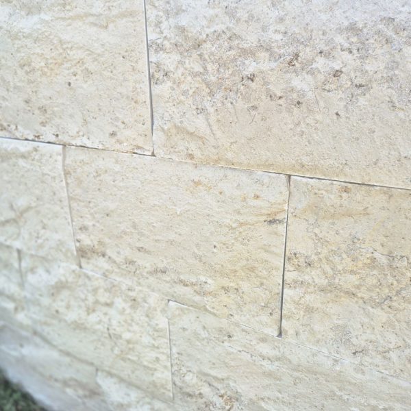 photo 7 2025 08 06 09 03 50