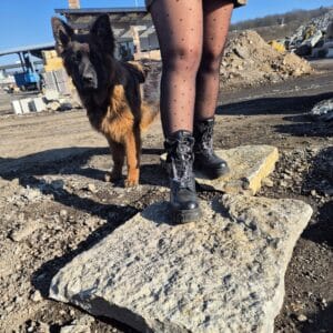 Fu&szlig;weg nachhaltig Steinboden f&uuml;r Insekten Terrarium Schildkr&ouml;ten und Co kaufen