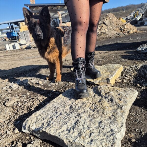 Fußweg nachhaltig Steinboden für Insekten Terrarium Schildkröten und Co kaufen