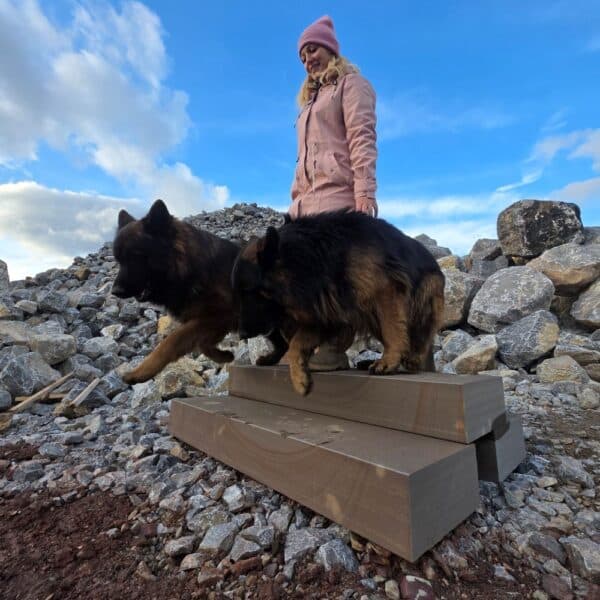 beliebte Blockstufen bei Bollerrocks europaweite Lieferung Kran Lieferung kostenlose Beratung