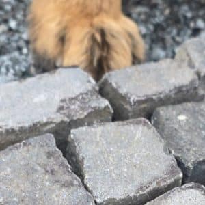 gro&szlig;e Auswahl an Naturstein Bodenbel&auml;gen f&uuml;r Terrasse Hauseingang Garten Vorgarten