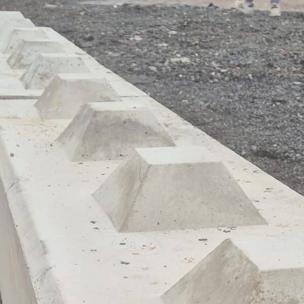 photo 1 2026 01 13 11 21 54