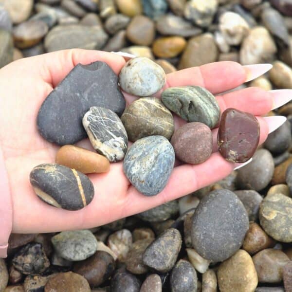 Pflanzbeet Gestalten Zierstein Naturstein Pool Umrandungen Laufwegw Laufpfad mit runden Steinen