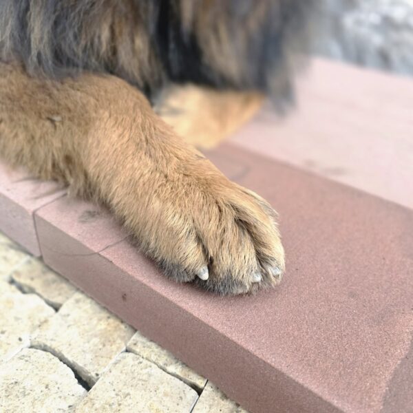 photo 1 2026 04 11 13 20 18