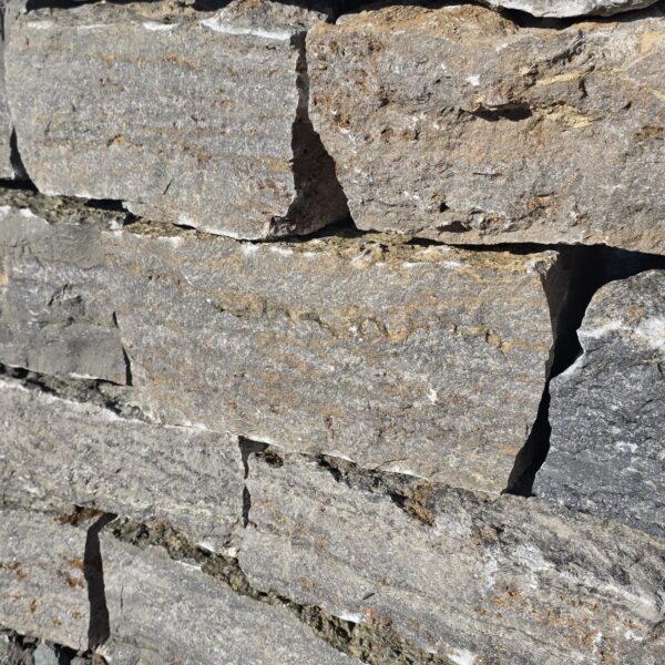 photo 1 2026 04 13 11 01 06