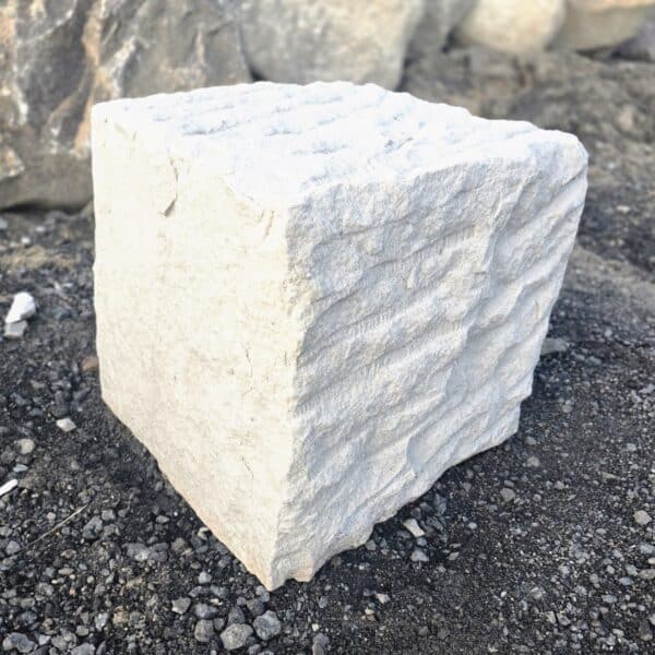 photo 1 2026 04 13 11 55 43