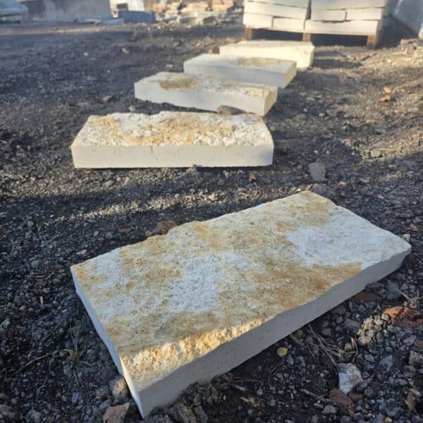 photo 1 2026 04 13 15 42 36