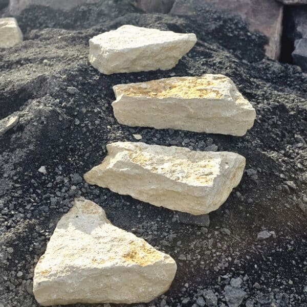 photo 1 2026 04 13 17 02 47