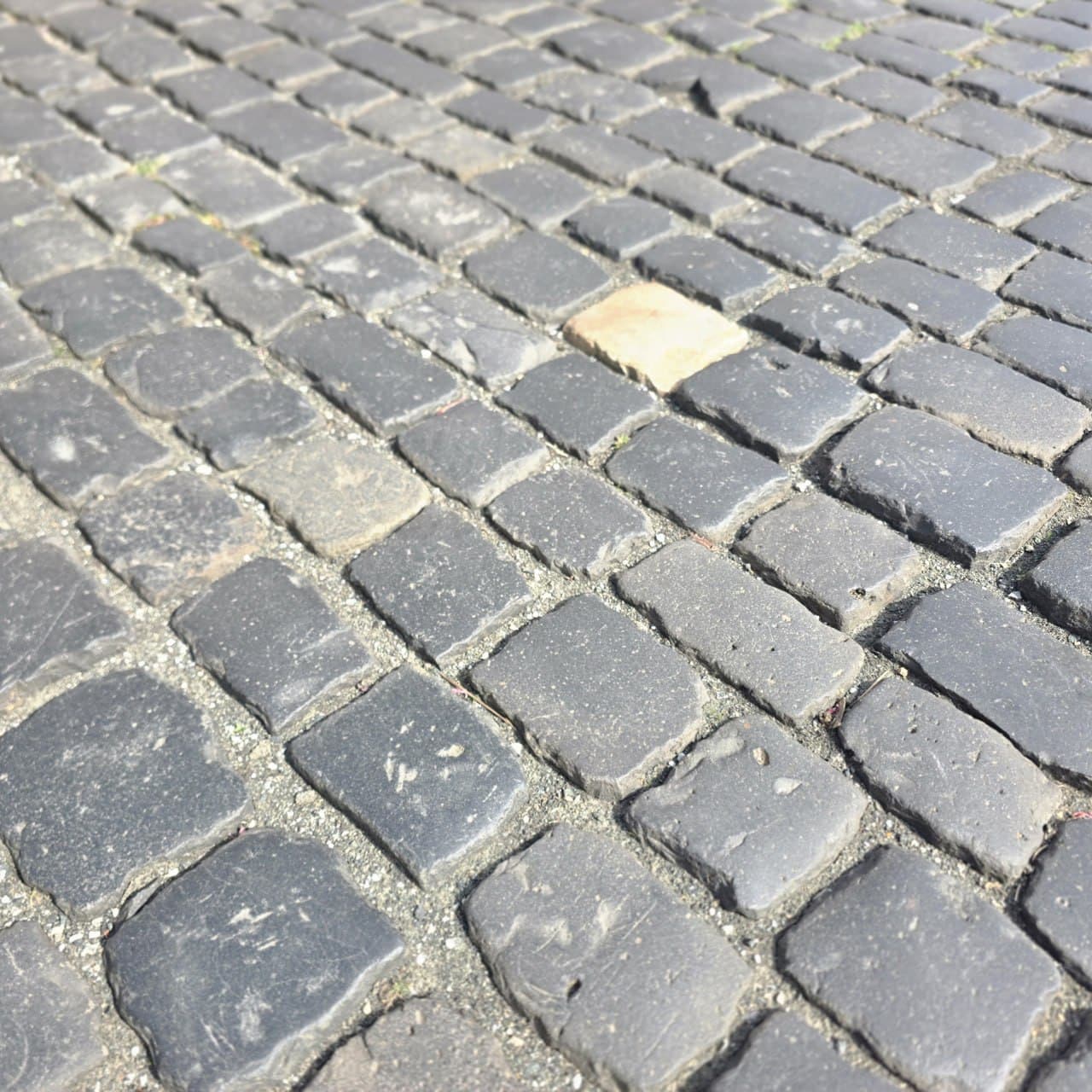 photo 1 2026 10 15 12 16 51